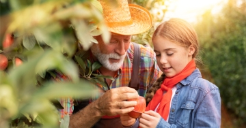 child with grandfather working field