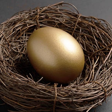 nest egg