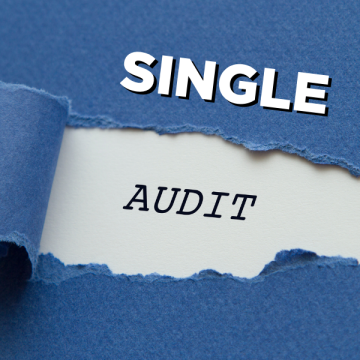 Single audits 101